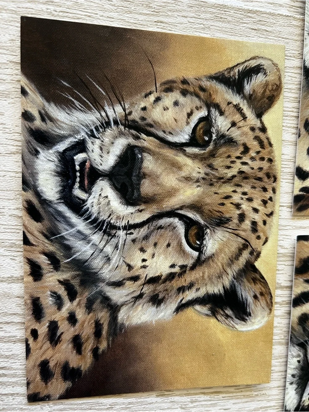 Set of 5 African Cats Print Notecards Stationary from Oil Paintings
